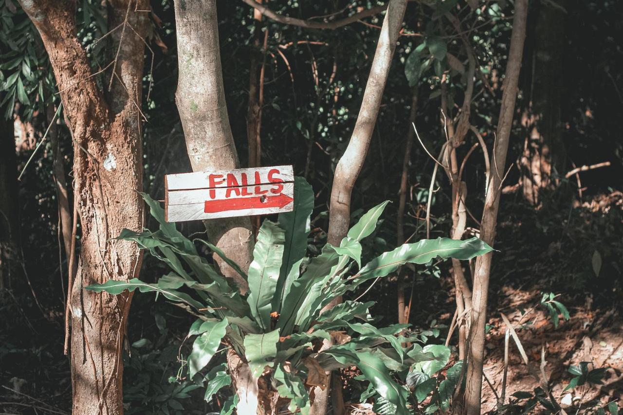 La Vie Adventure Trails Ξενοδοχείο Salabusob Εξωτερικό φωτογραφία